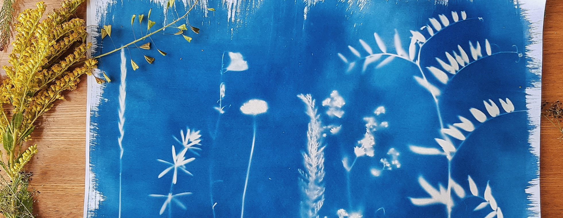 Botanical Blueprints Workshop